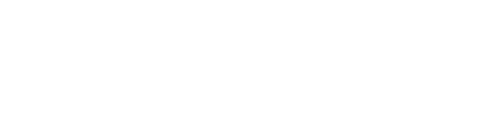 Brandfluencers
